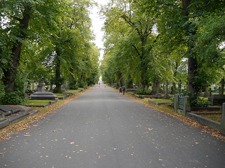 Центральная аллея Бромптонского кладбища