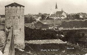 Нарва из Ивангородской крепости